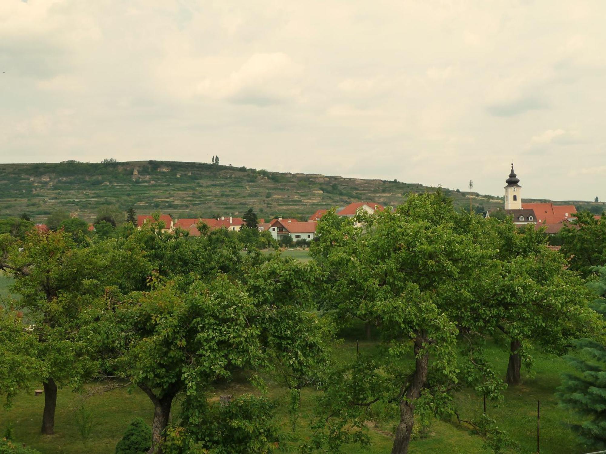 Ferienwohnung Weinbergblick Rohrendorf bei Krems 外观 照片