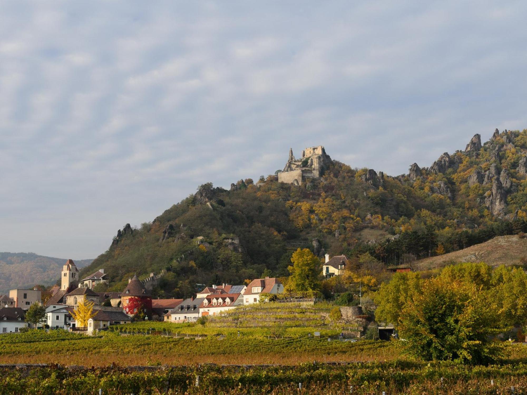 Ferienwohnung Weinbergblick Rohrendorf bei Krems 外观 照片