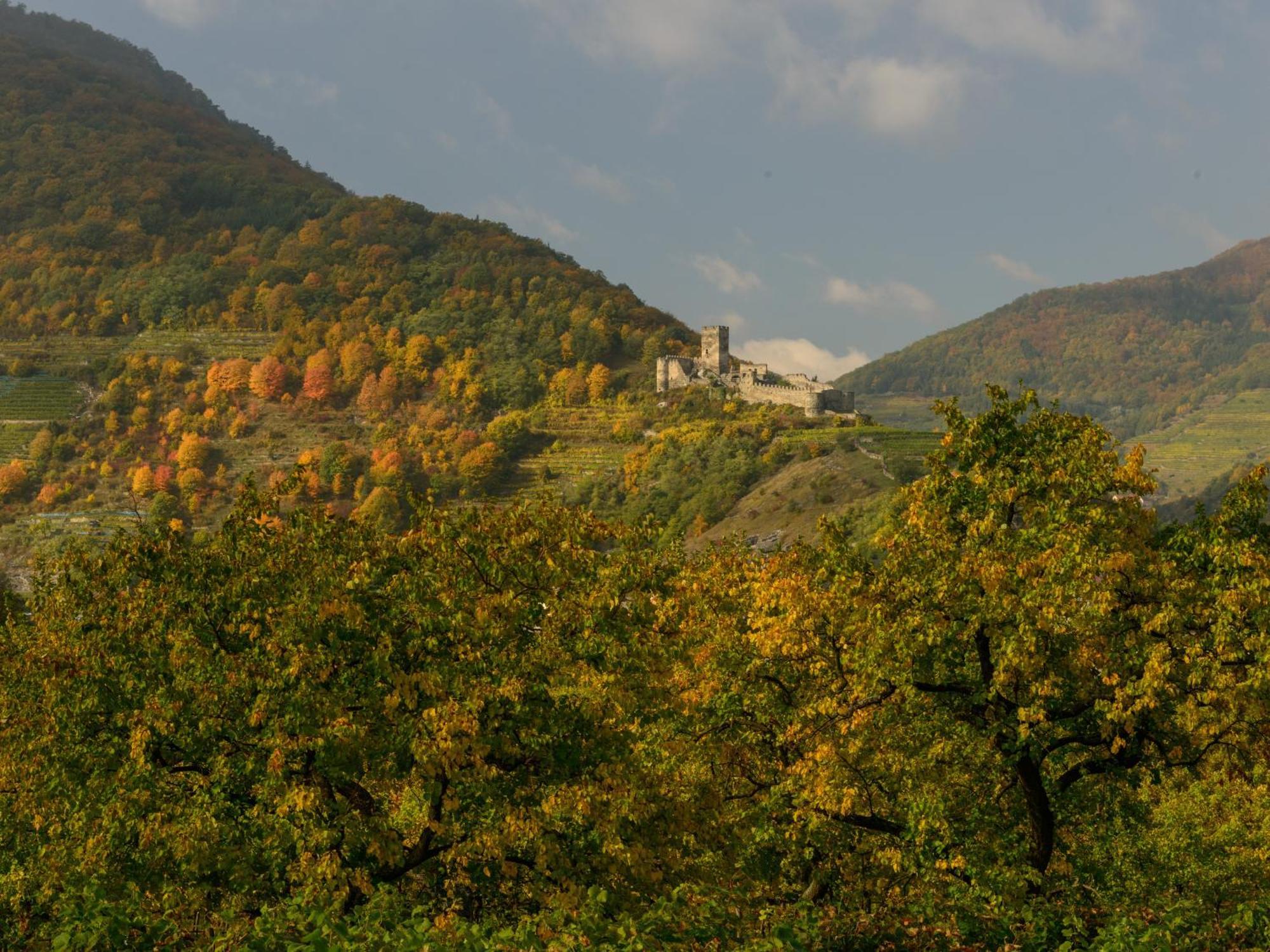 Ferienwohnung Weinbergblick Rohrendorf bei Krems 外观 照片