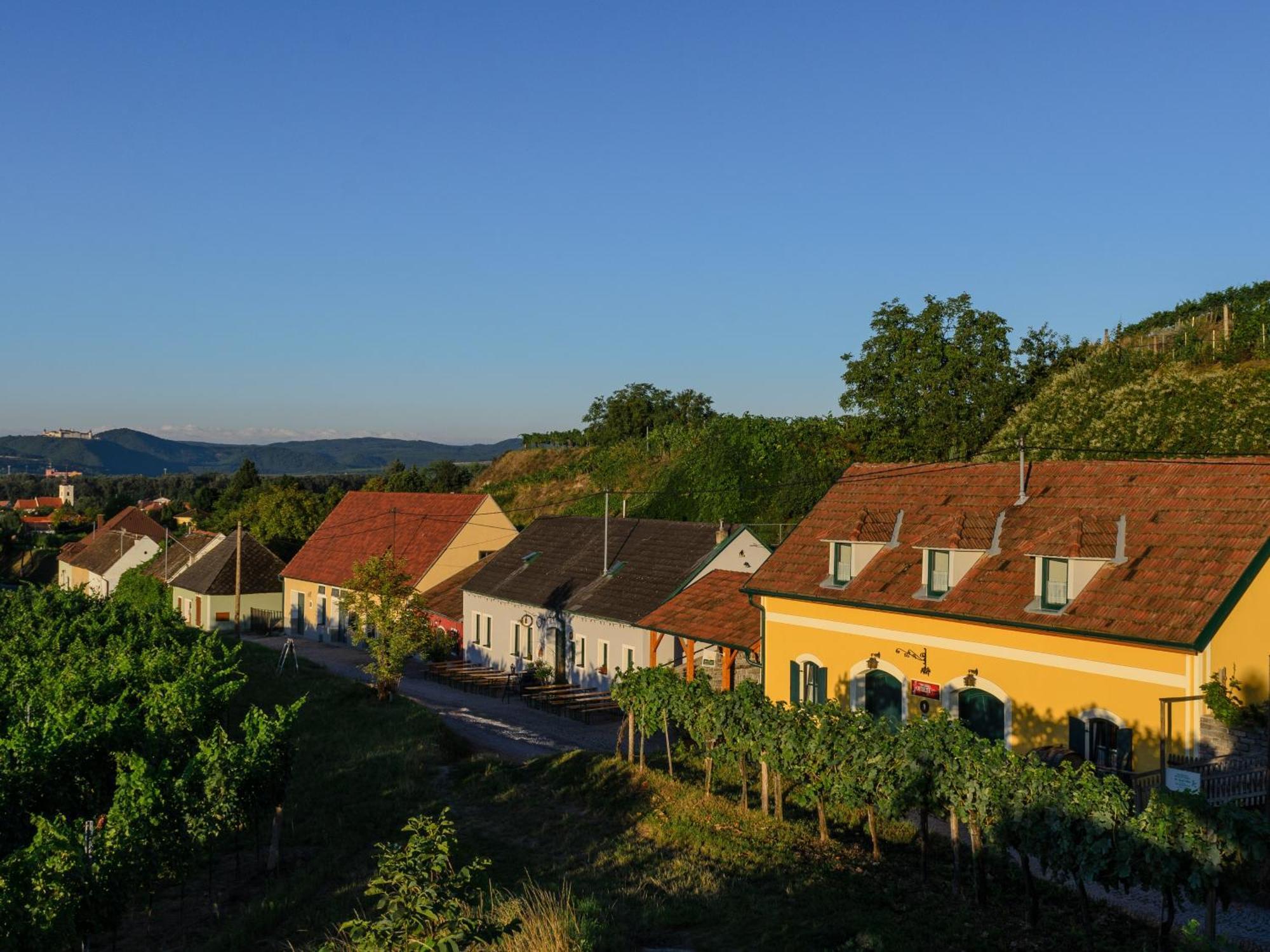 Ferienwohnung Weinbergblick Rohrendorf bei Krems 外观 照片