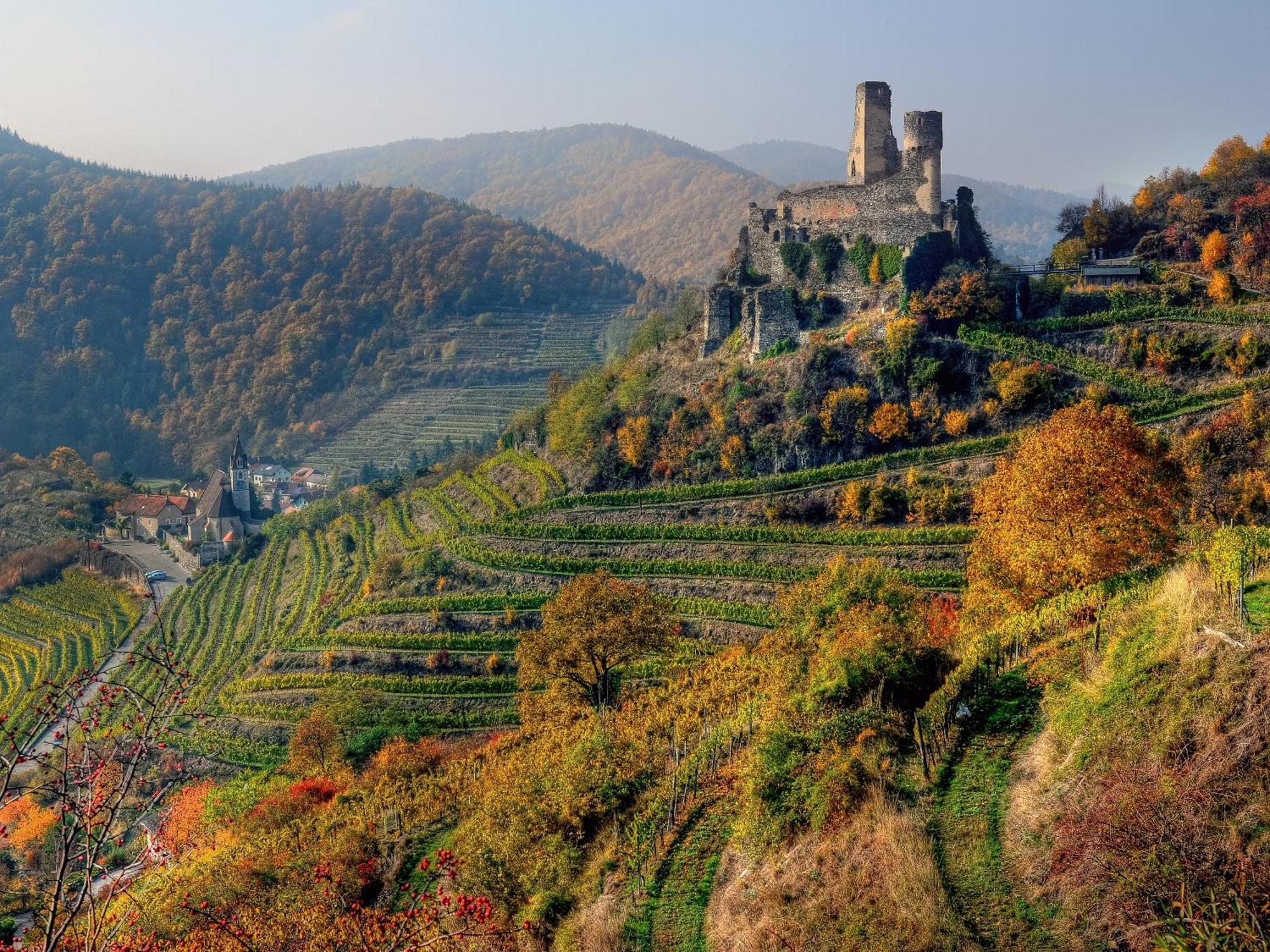 Ferienwohnung Weinbergblick Rohrendorf bei Krems 外观 照片